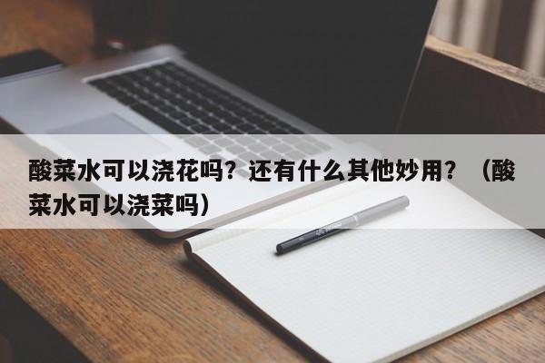 酸菜水可以浇花吗？还有什么其他妙用？（酸菜水可以浇菜吗）