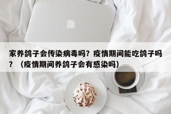 家养鸽子会传染病毒吗？疫情期间能吃鸽子吗？（疫情期间养鸽子会有感染吗）